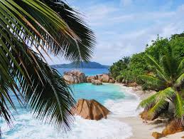 Es gibt 3 hauptsorten, die auf mahé gebraut werden: Seychellen Tipps Wissenswertes Fur Deine Reise Kosten Unterkunfte