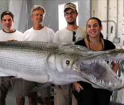 Within the first hour we were seeing alligator gar. Fishes Of Mississippi Mississippi State University