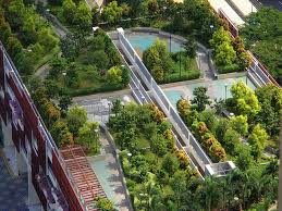Rooftop Garden Viewed From 40th Storey Hdb Beside The Commonwealth Mrt Singapore Rooftop Garden Roof Garden Garden View
