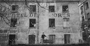 Читая Сьюзен Зонтаг в Париже