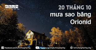 Thành long chưa là gì so với triệu vy, phạm băng băng giới giải trí có không ít ngôi sao luôn có những hành động đẹp, thực hiện những việc làm từ nhỏ đến lớn nhằm bảo vệ môi trường. MÆ°a Sao BÄƒng La Gi Tim Hiá»ƒu Vá» MÆ°a Sao BÄƒng La Gi