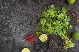 Check spelling or type a new query. What Can I Substitute For Cilantro Ask Dr Gourmet