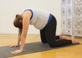 The best yoga poses to relieve common pregnancy issues. 7 Simple Pregnancy Yoga Poses You Can Practice At Home The Nesting Place