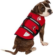 Paws Aboard Lifeguard Neoprene Dog Life Jacket Xx Small