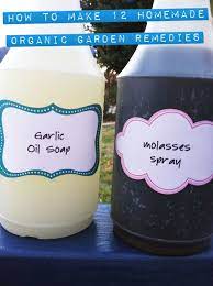 A Dozen Homemade Organic Garden Remedies Garden Remedies Organic Gardening Remedies
