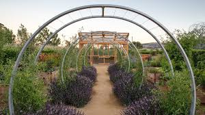 Double crop yields with organic and similar farming methods. Backyard Farm Design Ideas Sunset Magazine
