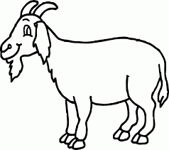 Guru & pendidikan untuk masa depan yang lebih baik. Cara Menggambar Hewan Kambing