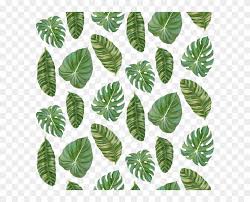 Tropical leaf outline transparent background. Banana Leaves Png Tropical Leaf Pattern Transparent Clipart 964420 Pikpng