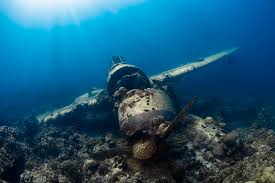 According to a news release, the underwater recovery team had to dive about 20. Best 500 Plane Crash Pictures Download Free Images On Unsplash