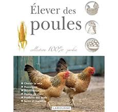 Epingle Sur Chat Humour