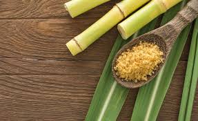 Certaines sont d'ailleurs des versions. Extraction Du Sucre De Canne Comment Ce Sucre Est Il Fabrique Cultures Sucre