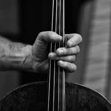 Black And White Music Instruments Photography Mikyung0412 S Card A Well Traveled Woman Black And White Making Music