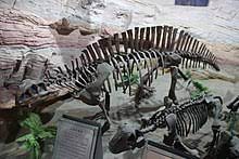 We did not find results for: Lotosaurus Wikipedia