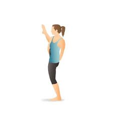 Yoga Pose Bird Of Paradise Pocket Yoga Poses Yoga Poses Yoga Illustration