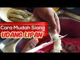 Saya sertakan cara siang udang ni resepi untuk dapat rangup cantik. Cara Cara Siang Udang Lipan Udang Ketak Youtube