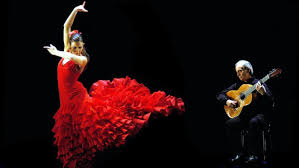 Vino Y Flamenco Spectacle Pan Y Vino