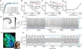 Check spelling or type a new query. Drift And Termination Of Spiral Waves In Optogenetically Modified Cardiac Tissue At Sub Threshold Illumination Elife