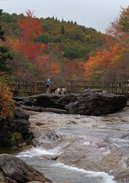 Taking The Dog For A Fall Hike At Graveyard Fields Along The Blue Ridge Parkway In Camping In North Carolina North Carolina Mountains Hiking Trails California