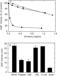 Maybe you would like to learn more about one of these? Phosphorylation Regulated Inhibition Of The Gz Gtpase Activating Protein Activity Of Rgs Proteins By Synapsin I Journal Of Biological Chemistry