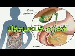 #top5tamil #top5 #shajufaa top 5 peopls with extra body parts. Body Parts In Tamil Meaning Free Printable Body Parts Flashcards Free Printable For Vocabulary About Parts Of Body Including Tamil Meaning Part 1