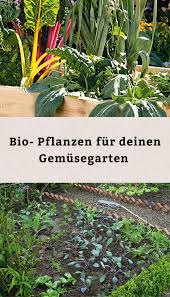 Nachhaltig Frisch Ohne Pestizide In 2020 Pflanzen Gartenpflege Gemusegarten Anlegen
