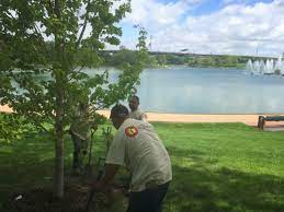 We aim to not only supply and create beautiful landscapes, but are also committed to growing and building sustainable landscapes that enhance. Landscaping Services Yano S Nursery