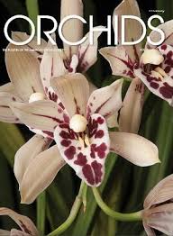 Because of this, you'll probably need to water your orchids two to three times a week, depending on the humidity and temperature. Orchids Magazine Orchids Magazine Magazine Subscription