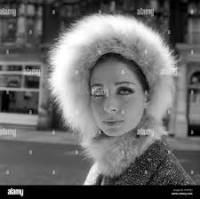 Russian fur hat hi-res stock photography and images