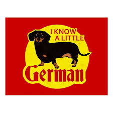 I Know A Little German Postcard Zazzle Com Dachshund Puppy Funny Weiner Dog Dachshund Puppy Black
