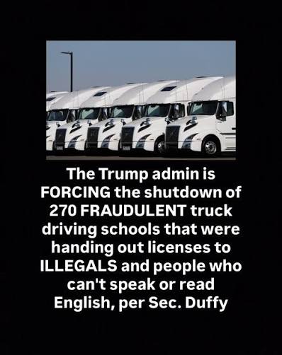 The Trump admin is FORCING the shutdown of 270 FRAUDULENT truck driving schools that were handing out licenses to ILLEGALS and people who can't speak or read English, per Sec. Duffy 110