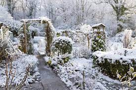 Wir haben für sie die 15 besten pflanzen für ihren wintergarten zusammengetragen und geben tipps zur optischen gestaltung und erfolgreichen überwinterung. Winterpflanzen Im Garten Pflegetipps Fur Beliebte Winterbluher