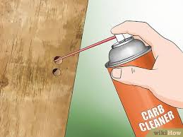Rotate crops, intercrop, handpicking, use seven, even that doesn't work! 3 Ways To Get Rid Of Carpenter Bees Wikihow