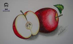 كيفية تعلم رسم تفاحة بالرصاص والالوان الخشبية مع الخطوات للمبتدئين food drawing drawing illustrations drawings