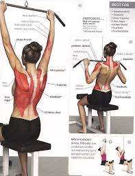 Gizem Adli Kullanicinin Egzersiz Panosundaki Pin Vucut Egzersizleri Fitness Motivasyonu Vucut Gelistirme