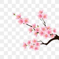 Cartoon Pink Flower Download Cartoon Flowers Pink Flowers Peach Blossom Png Transparent Clipart Image And Psd File For Free Download Flower Download Pink Flowers Background Flower Illustration