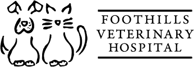 I love the bird and pet clinic. Animal Hospital In Greenville And Pelzer Sc Foothills Veterinary Hospital