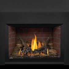 If so, then a gas insert is your best choice. Napoleon Oakville Gdi3 Direct Vent Gas Fireplace Insert Woodland Direct
