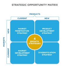 Product Launch Templates New Product Development New Product Development Strategy Growth Strategy