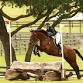 March USEA Horse Trials