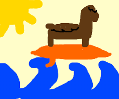 Sketch the belly as you see here and then start drawing out the hind legs. Llama Surfing