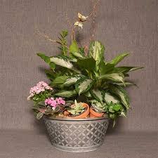 Maybe you would like to learn more about one of these? Wisteria Flowers And Gifts Online Store