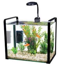 Parallel 8 Gallon Designer Glass Aquarium Glass Aquarium Aquarium Design Aquarium