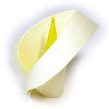 How To Make An Origami Calla Lily Page 1 Easy Origami Flower Origami Flowers Instructions Origami Flowers Tutorial