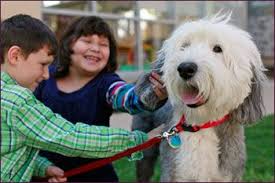 Birthday Party Places In San Antonio Birthday Parties Humane Society Birthday Party Birthday Parties Humane Society