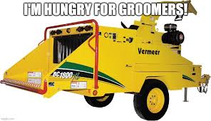 Feed the woodchipper - Meme by ...