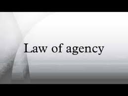 Check spelling or type a new query. Law Of Agency Under The Indian Contract Act
