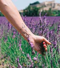 Without further ado, here are the best forearm tattoos to check out if you're in need of some ideas and inspiration: 29 Best Forearm Tattoo Designs For The Inner And Outer Arm