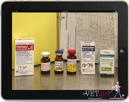 Pin On Vetgirl