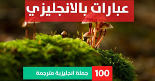 Aleph, which also meant ox, and bet, which also meant house. Ø¹Ø¨Ø§Ø±Ø§Øª Ø¨Ø§Ù„Ø§Ù†Ø¬Ù„ÙŠØ²ÙŠ Page 86 Of 119 Ø£ÙƒØ¨Ø± Ù…ÙˆØ³ÙˆØ¹Ø© Ù„Ù„Ø¹Ø¨Ø§Ø±Ø§Øª Ø§Ù„Ø§Ù†Ø¬Ù„ÙŠØ²ÙŠØ©
