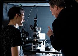 The pattern echoes time and time again: Unravelling The Mystery Of Opioid Addiction